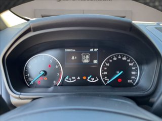 FORD Ecosport 1.0 ecoboost active s&s 125cv