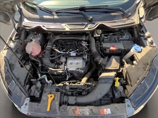 FORD Ecosport 1.0 ecoboost active s&s 125cv