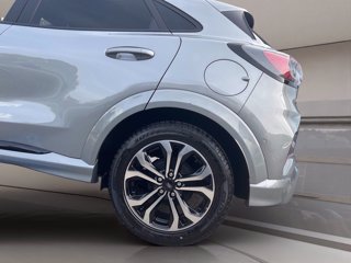 FORD Puma 1.0 ecoboost h st-line s&s 125cv auto