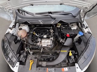 FORD Ecosport 1.0 ecoboost titanium s&s 125cv my20.25
