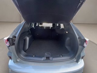 FORD Kuga 2.5 full hybrid st-line 2wd 190cv cvt