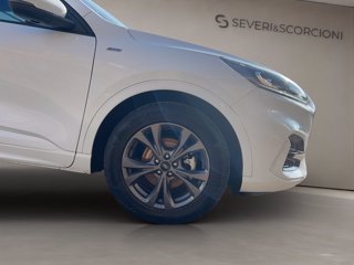 FORD Kuga 2.5 full hybrid st-line 2wd 190cv cvt