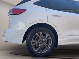 FORD Kuga 2.5 full hybrid st-line 2wd 190cv cvt