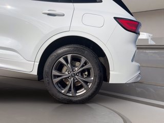 FORD Kuga 2.5 full hybrid st-line 2wd 190cv cvt