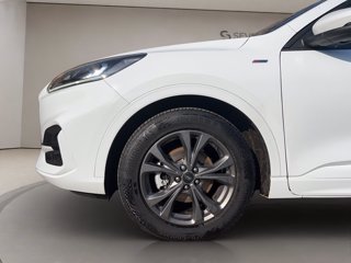 FORD Kuga 2.5 full hybrid st-line 2wd 190cv cvt