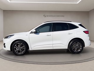 FORD Kuga 2.5 full hybrid st-line 2wd 190cv cvt