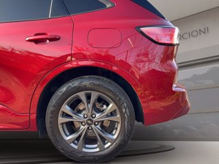 FORD Kuga 1.5 ecoblue st-line x 2wd 120cv auto