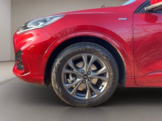 FORD Kuga 1.5 ecoblue st-line x 2wd 120cv auto