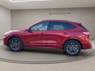 FORD Kuga 1.5 ecoblue st-line x 2wd 120cv auto