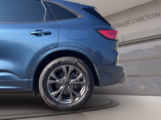 FORD Kuga 1.5 ecoblue st-line 2wd 120cv auto