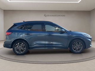 FORD Kuga 1.5 ecoblue st-line 2wd 120cv auto