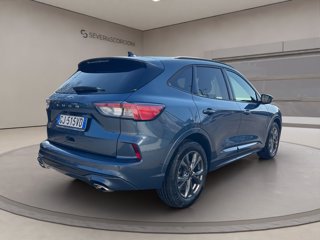 FORD Kuga 1.5 ecoblue st-line 2wd 120cv auto