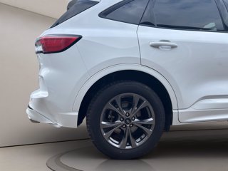 FORD Kuga 2.5 full hybrid st-line 2wd 190cv cvt