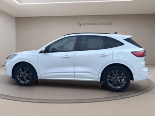 FORD Kuga 2.5 full hybrid st-line 2wd 190cv cvt