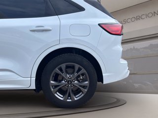 FORD Kuga 2.5 full hybrid st-line 2wd 190cv cvt