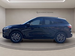 FORD Kuga 2.5 phev st-line 2wd 225cv cvt