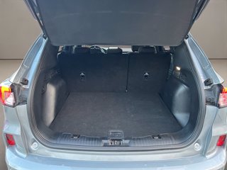 FORD Kuga 2.5 full hybrid st-line 2wd 190cv cvt