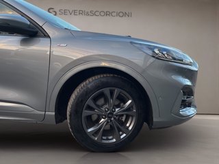 FORD Kuga 2.5 full hybrid st-line 2wd 190cv cvt