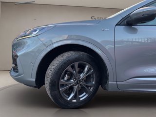 FORD Kuga 2.5 full hybrid st-line 2wd 190cv cvt