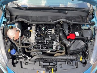 FORD Fiesta 5p 1.0 ecoboost h st-line 125cv