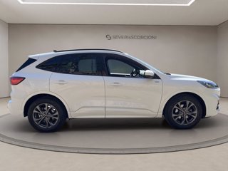 FORD Kuga 2.0 ecoblue st-line awd 120cv auto