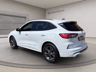 FORD Kuga 2.0 ecoblue st-line awd 120cv auto