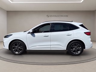 FORD Kuga 2.0 ecoblue st-line awd 120cv auto