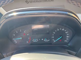 FORD Fiesta 5p 1.1 titanium 75cv