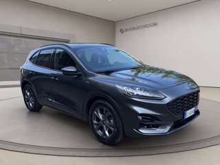 FORD Kuga 1.5 ecoblue ST-Line X 2wd 120cv auto