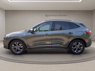 FORD Kuga 1.5 ecoblue ST-Line X 2wd 120cv auto