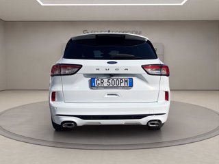 FORD Kuga 2.0 ecoblue st-line x awd 120cv auto