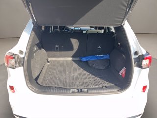 FORD Kuga 2.0 ecoblue st-line x awd 120cv auto