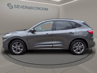 FORD Kuga 1.5 ecoblue st-line 2wd 120cv auto