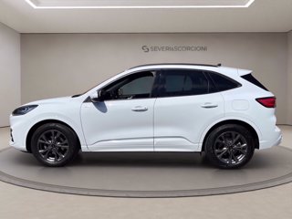 FORD Kuga 2.0 ecoblue ST-Line X 2wd 120cv auto