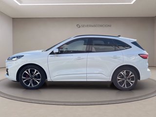 FORD Kuga 2.0 ecoblue ST-Line X 2wd 120cv auto