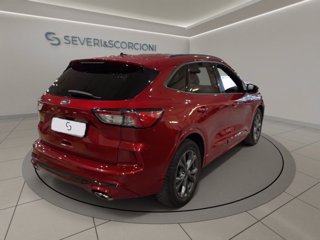 FORD Kuga 1.5 ecoblue st-line 2wd 120cv auto