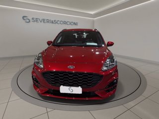 FORD Kuga 1.5 ecoblue st-line 2wd 120cv auto