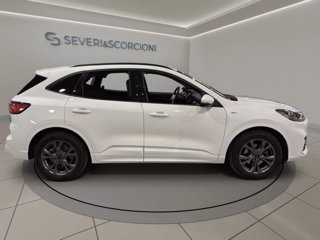 FORD Kuga 1.5 ecoblue st-line 2wd 120cv auto