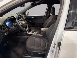 FORD Kuga 1.5 ecoblue st-line 2wd 120cv auto