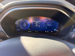 FORD Focus active 1.5 ecoblue x 115cv auto