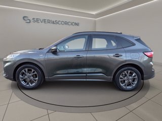 FORD Kuga 2.5 full hybrid st-line x 2wd 190cv cvt