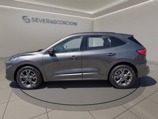 FORD Kuga 1.5 ecoblue st-line 2wd 120cv