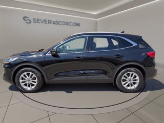 FORD Kuga 1.5 ecoblue Titanium 2wd 120cv