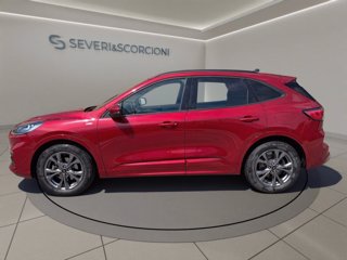 FORD Kuga 2.5 full hybrid st-line x 2wd 190cv cvt