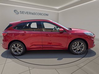 FORD Kuga 2.5 full hybrid st-line x 2wd 190cv cvt