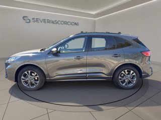 FORD Kuga 2.5 full hybrid st-line x awd 190cv cvt