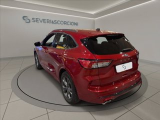 FORD Kuga 1.5 ecoblue ST-Line 2wd 120cv auto