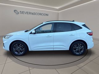 FORD Kuga 2.0 ecoblue st-line x 2wd 120cv auto