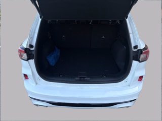 FORD Kuga 2.0 ecoblue st-line x 2wd 120cv auto