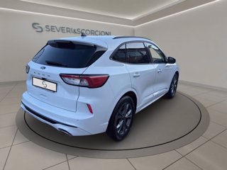 FORD Kuga 2.0 ecoblue st-line x 2wd 120cv auto